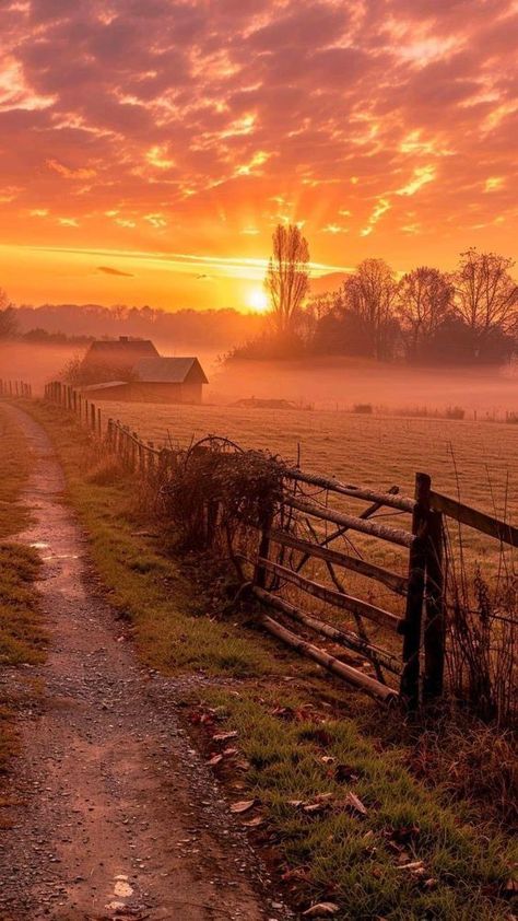 Early Morning Photography, Field With Sunset, Sunshine Weather, Early Sunrise, Early Morning Sunrise, Rural Photography, Nature Sunrise, Summer Sunrise, Pastel Sunset