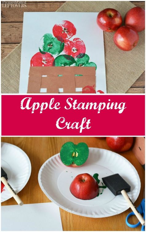 Fall Time Preschool Crafts, Harvest On The Farm Crafts, Apple Star Stamping Craft, Easy Toddler Fall Activities, Apple Themed Toddler Activities, No Prep Crafts For Preschoolers, Apples Art Preschool, Cute Fall Crafts For Toddlers, Toddler Crafts Back To School