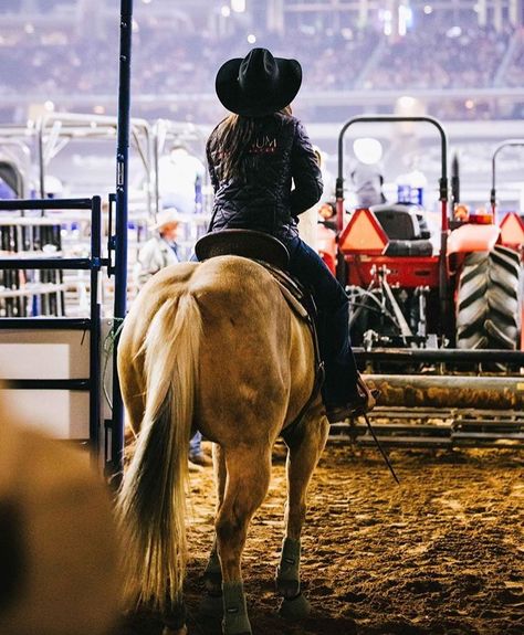 Hailey Kinsel, Barrel Racing Tack, Barrel Racing Horses, Cowgirl Magazine, Rodeo Life, Barrel Racing, Horse Saddles, Exotic Pets, Rodeo