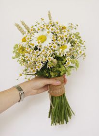 The Blossom Tree: Daisy Wedding Bouquets Gerber Daisy Bouquet Wedding, Daisy Wedding Bouquet, Gerber Daisy Bouquet, Daisy Bridal Bouquet, Gerber Daisy Wedding, Daisy Bouquet Wedding, Gerbera Daisy Wedding, Gerbera Daisy Bouquet, Silk Flower Bridal Bouquet