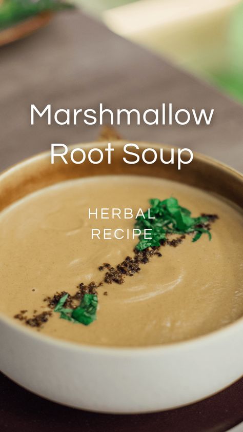 So yummy! And it's a great way to use up marshmallow root that you bought for making lip balm, etc. Marshmallow Root Recipes, Herbal Marshmallows, Recipes Using Marshmallows, Making Lip Balm, Marshmallow Root Tea, Root Soup, Sweet Soup, Puff Pastry Desserts, Recipes With Marshmallows