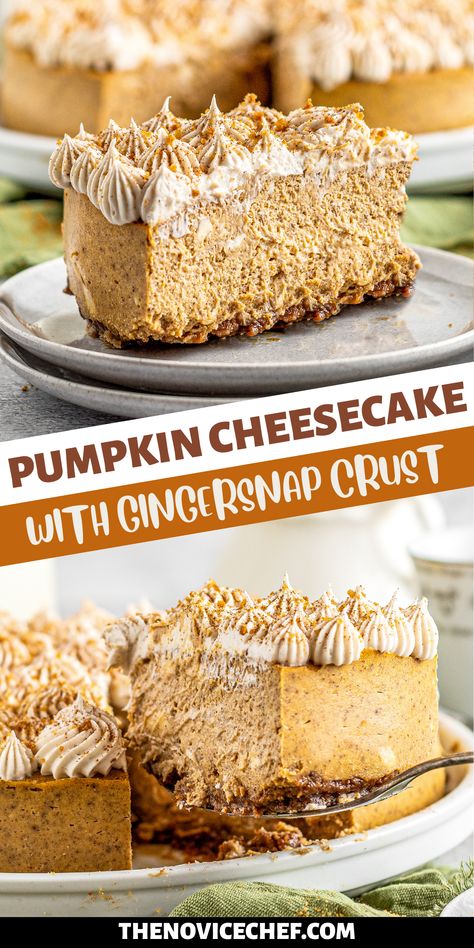 This Pumpkin Cheesecake with Gingersnap Crust is the dessert of the season! A soft, velvety pumpkin pie-like cheesecake sets atop a deliciously crunchy gingersnap crust, while classic cream cheese frosting puts the whole thing over the top. Gingersnap Pumpkin Cheesecake, Ginger Snap Cheesecake Crust, Pumpkin Ginger Snap Cheesecake, Pumpkin Cheesecake With Ginger Snap Crust, Ginger Snap Cheesecake, Ginger Snap Cookie Crust, Pumpkin Gingersnap Cheesecake, Pumpkin Cheesecake Gingersnap Crust, Gingersnap Cheesecake