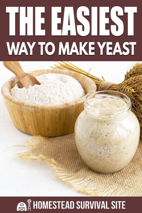 Diy Yeast, Fermenting Foods, Sourdough Starters, Homemade Yeast, Resepi Roti, Yeast Starter, Yeast Recipes, Sourdough Bread Starter, Dough Starter