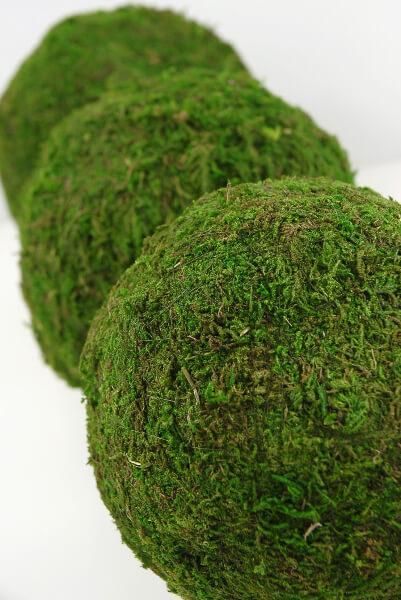 Botanicals - Save-On-Crafts Cheap Wedding Table Centerpieces, Bouquet Succulent, Moss Ball, Gala Design, Table Setting Decor, Moss Balls, Wedding Floral Centerpieces, Preserved Moss, Flower Ball