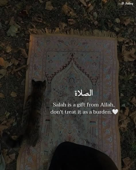 𝐀𝐥-𝐅𝐚𝐥𝐚𝐪 on Instagram: "𝐑𝐚𝐦𝐚𝐝𝐚𝐧 𝐃𝐚𝐲 13🌙🤍✨ . . Follow me @al_.falaq For daily Islamic Posts 💕💖 . . . . . . . . . . . . . . . . . . . 📸Credits to @al_.falaq…" Ramadan Day 13, Islamic Dp Quotes, Best Ramadan Quotes, Islam Aesthetic, Islam Ramadan, Al Qur'an Aesthetic, Appreciate Life Quotes, Lonliness Quotes, Islamic Wallpaper Iphone