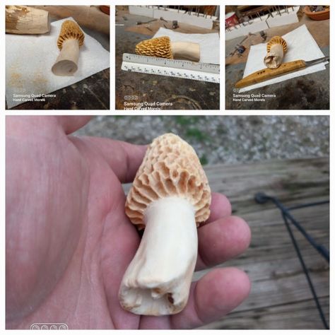 Great looking carved Morel mushroom Mushroom Wood Carving, Carved Mushrooms, Mushroom Whittling, Dremel Art, Mushroom Carving, Carved Wood Mushroom, Morel Mushroom Hunting, Morel Mushrooms, Morel Mushroom