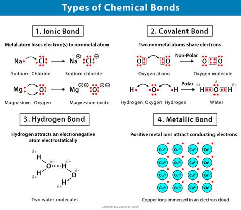 Chemical Bonds: Definition, Types, and Examples Types Of Bonds Chemistry, Bonds In Chemistry, Chemistry Final Cheat Sheet, Chemical Bonds Notes, Chemistry Bonds, Chemical Bonding Notes, Chemistry Bonding, Hydrogen Bonding, Chemistry Solutions