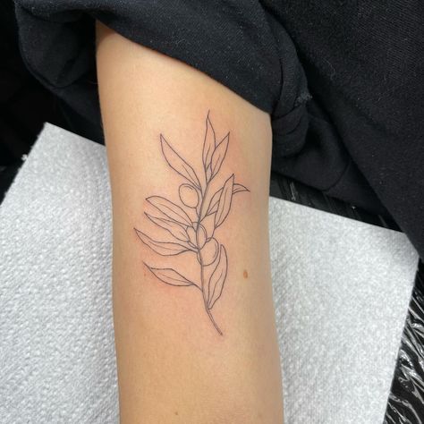 Olive Branch Tattoo Arm Wrap Simple, Olive Branch Tattoo Linework, Olive Brand Tattoo, Olive Branch Stamp Tattoo, Olive Branch Tattoo Shoulder, Minimal Olive Branch Tattoo, Green Olive Tattoo, Olive Branch Line Art, Olive Branch Wrist Tattoo