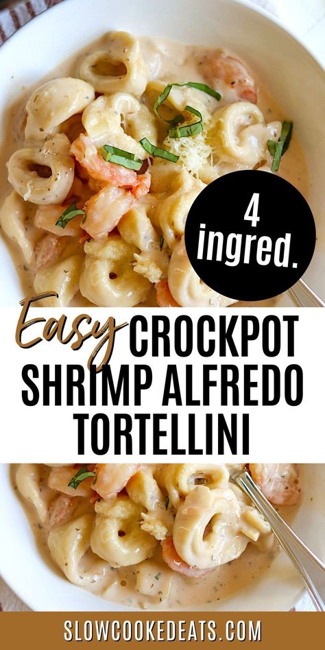 This delicious Crock Pot Shrimp Alfredo tortellini is a guaranteed crowd-pleaser! And the best part? It's super easy to make! This creamy, cheesy dish features the classic Alfredo sauce combined with shrimp and tortellini that's cooked right in the pot. You'll have a hearty, hearty dinner ready with only 4 ingredients and slow cooker! Slow Cooker Alfredo Tortellini, Pescatarian Crock Pot Recipes, Chicken And Shrimp Alfredo Crockpot, Tortellini Bake Crockpot, Seafood Pasta In Crockpot, Pescatarian Crockpot Meals, Shrimp Easy Dinner, Shrimp Alfredo Pasta Crockpot, Crock Pot Tortellini Alfredo