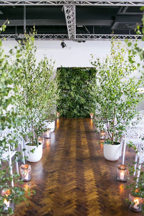 Grünpflanzen als Deko Wedding Amphitheater Decor, Wedding Decor Potted Plants, Rosemary Arrangement Table Decorations, Wedding Decor With Trees, Wedding Decor Trees Indoor, Trees For Wedding Decor, Indoor Plants Wedding Decor, Wedding Trees Indoor, Indoor Trees Wedding