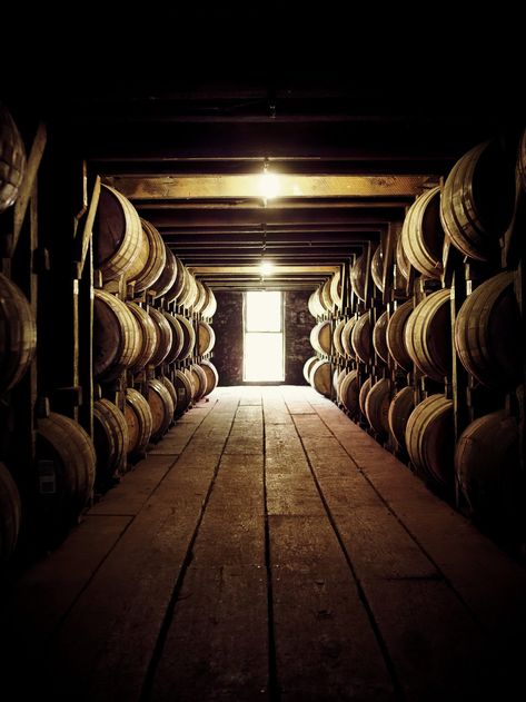 Whiskey Distillery, Rye Bourbon, Wine Barrels, Cigars And Whiskey, Whiskey Barrel, Bourbon Whiskey, Wine Cellar, Nantucket, Liqueur