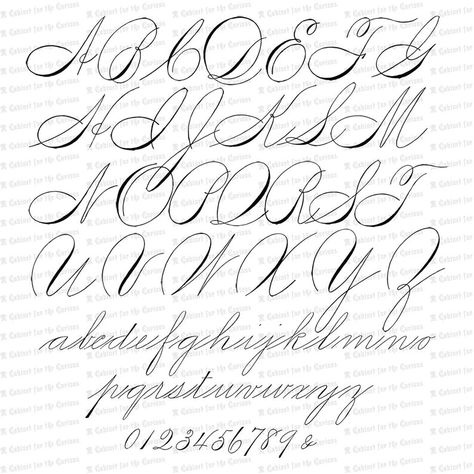 "ladies Hand" Style Of Spencerian Script. Quite Exquisite! 550 1800s Typography, Spencerian Handwriting, Calligraphy Alphabet Tutorial, Caligrafia Copperplate, Calligraphy Writing Styles, Letters Vintage, Clipart Letters, Graffiti Lettering Alphabet, Tattoo Fonts Cursive