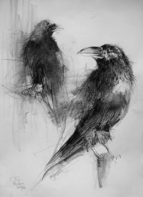 Charcole Drawings, Charcoal Drawing Ideas, Dope Sketches, Raven Artwork, Crows Drawing, Charcoal Artwork, Pencil Drawing Ideas, Crow Painting, Bird Sketch