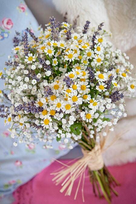 Bouquet Champetre, Wildflower Wedding Bouquet, September Flowers, Daisy Wedding, Lavender Bouquet, Spring Wedding Flowers, Wildflower Bouquet, Lavender Wedding, Wildflower Wedding