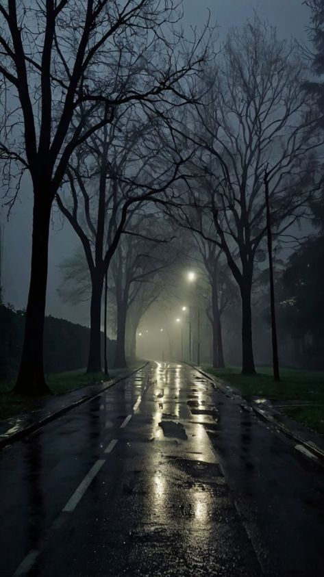 Park Lighting, Shadow Realm, Joker Photos, Foggy Night, Rainy Street, Night Time Photography, Scenic Places, Foggy Weather, Dark Street