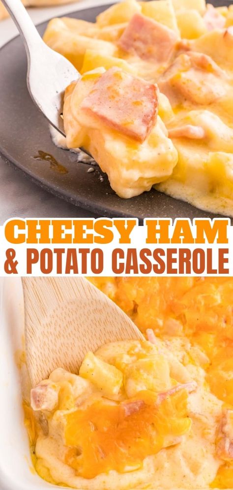 Ham Cheese And Potato Casserole, Ham And Cheese Potatoes, Cheesy Ham And Potatoes, Recipes With Diced Ham, Easy Scalloped Potatoes And Ham, Cheesy Scalloped Potatoes And Ham, Ham Meals, Ham Potato Casserole, Cheesy Ham And Potato Casserole