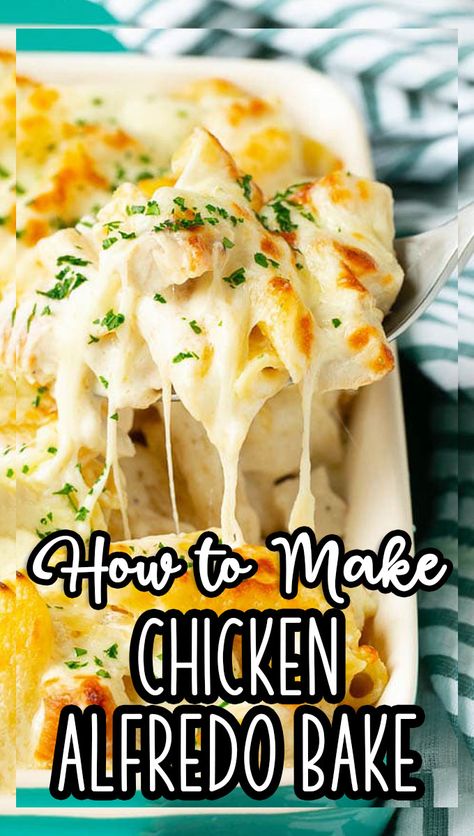 Cheesey Chicken Alfredo Pasta, Chicken Fetuchini Alfredo Recipe, Chicken With Alfredo Sauce Recipes, Fettucini Alfredo Lasagna, Baked Chicken And Noodles Recipe, Cajun Chicken Alfredo Bake, Chicken Al Fredo Pasta, Chicken Alfredo Bake For A Crowd, Chicken Alfredo For 2