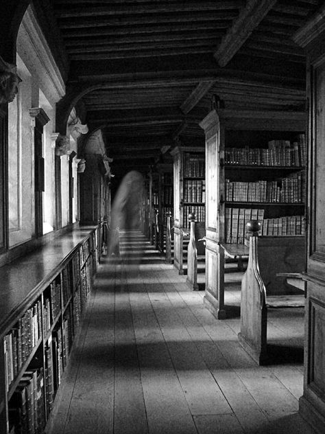 The 10 Most Haunted Libraries In America Ghost In Library, Creepy Library Aesthetic, Haunted Library Aesthetic, Ghost Library, Haunted Aesthetic, Spooky Library, Haunting Aesthetic, Ghost Haunting, Haunted Library