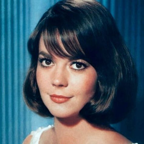 Natalie Wood on Instagram: "Natalie started the 1960s with high drama and musicals and then took on a few comedic roles - even of the slapstick kind.  It has been said that comedy is the most difficult acting genre but that didn’t matter.  Natalie always challenged herself to improve whether it be on film or in life and encouraged others to do the same too.   #nataliewood #lamourmere #nataliefragrance #splendorinthegrass #westsidestory #gypsy #sexandthesinglegirl #penelope #drama #musicals #comedy #classicmovies #classicmoviestars #nataliewoodwhatremainsbehind #morethanlovebook" Natalie Wood Hair, Virginia Slims, Life Drawings, Splendour In The Grass, Movie Pic, Natalie Wood, Classic Movie Stars, West Side Story, Time Period