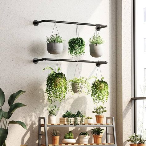 Amazon.com: TieLiHua 2Pcs Hanging Planter for Indoor Plants, Black Metal Planter Hanger, Indoor Plant Hanging Rod, Wall Hanging Plant Holder for Window Ceiling Living Room : Patio, Lawn & Garden Outdoor Patio Plant Wall, Plants Hanging In Front Of Window, Gazebo Hanging Plants, Plant Room Wall Color, Wall Plant Hanger Macrame, Hanging Window Plants, Plant Hanging Rod, Plant Set Up Indoor, Unique Plant Stands Indoor