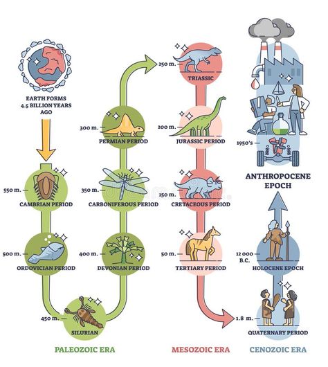 History Of Earth Infographic, Geologic Time Scale Timeline Project, Time Periods History, Geologic Time Scale Drawing, Geological Time Scale Timeline, Geology Wallpaper, Earth Timeline, Science Timeline, Timeline Diagram