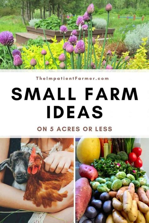 What To Do With 2 Acres Of Land, What To Do With Acres Of Land, Farming On 5 Acres, Farm For Beginners, What To Do With Land, Mini Homestead Layout, Mini Hobby Farm, How To Start A Small Farm, 5 Acres Landscaping