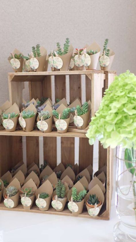 Cactus Party Favors, Rustic Party Favors, Kaktus Dan Sukulen, Baby Shower Boho, Babyshower Party, Idee Babyshower, نباتات منزلية, Cactus Party