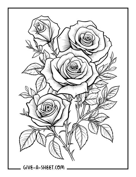 Four roses with leaves tattoo coloring page. Poppy Coloring Page, Rose Coloring, Flower Coloring Sheets, Sunflower Coloring Pages, Printable Flower Coloring Pages, Rose Coloring Pages, Rose Patterns, Rose Sketch, Flower Art Drawing