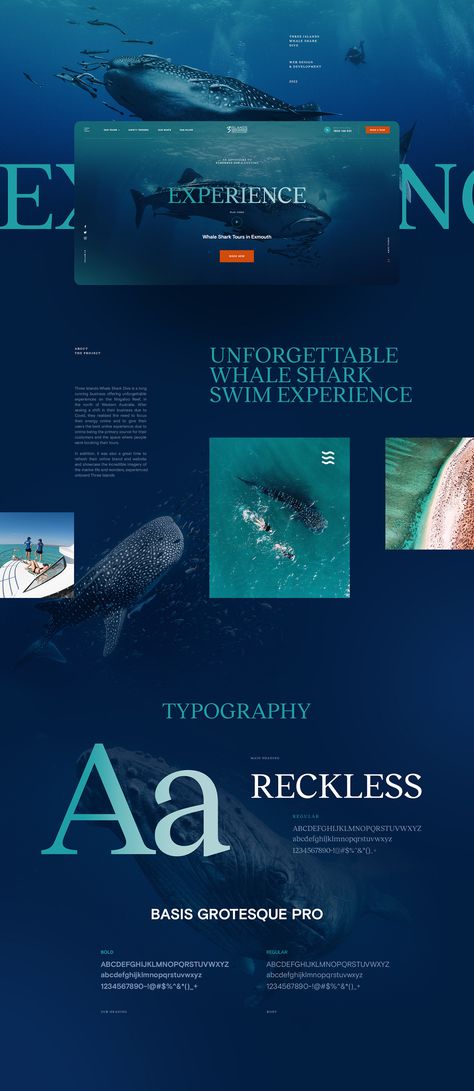 Marine Website Design, Ocean Website Design, Water Website Design, Ocean Website, Nature Website Design, Whale Shark Diving, Creative Website Design Inspiration, Charity Websites, Biology Poster