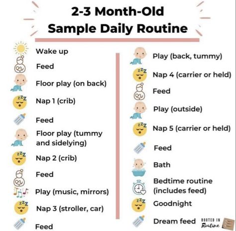 Daily Newborn Routine, 2 Month Old Routine, Sample 3 Month Old Schedule, 2 Month Old Schedule Daily, 2 Month Old Bedtime Routine, 3 Month Old Routine, 2 Month Old Schedule, 3 Month Old Schedule, Advice For New Parents