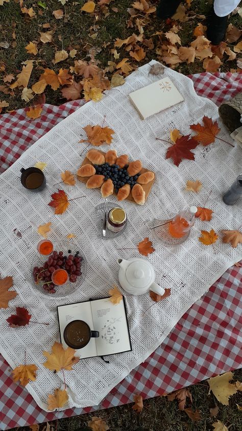 Autumn Birthday Activities, Fall Birthday Picnic, Autumn Picnic Ideas, Autumn Picnic Outfit, Autumn Picnic Aesthetic, Friendsgiving Picnic, Fall Picnic Food Ideas, Fall Picnic Outfit, Fall Picnic Food