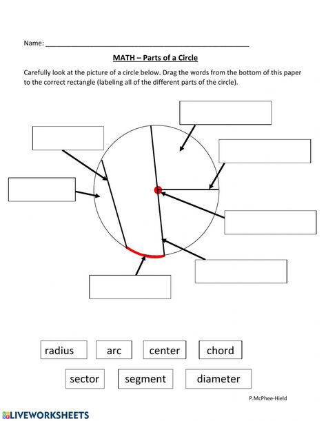 Mass Worksheet, Circle Worksheet, Parts Of A Circle, Area Of A Circle, Circle Geometry, 5th Grade Writing, Scientific Notation, Geometry Worksheets, Circle Math