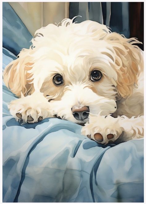 Dog Portraits Illustration, Poodle Drawing, Portraits Painting, Dog Watercolor Painting, Puppy Wall Art, Maltipoo Dog, Dog Portraits Painting, Dog Portraits Art, Watercolor Dog Portrait