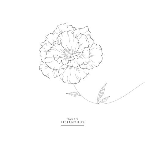 Liziantusz Flower, Lisianthus Drawing, Lisianthus Tattoo, Flowers Lisianthus, Lisianthus Eustoma, Lisianthus Flower, Lisianthus Flowers, Flor Tattoo, 2d Painting