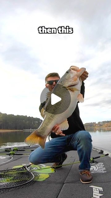 Bass Fishing Videos, Fishing Tricks, Bass Bait, Diy Fishing Lures, Fishing Rod Rack, Trout Fishing Tips, Bass Fishing Tips, Fishing Diy, Fishing Videos