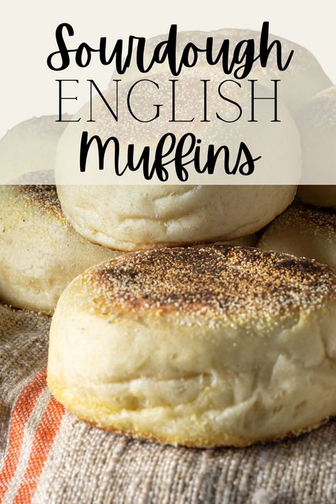 Sourdough English Muffins Farmhouse On Boone, The Food Nanny Sourdough, Overnight Sourdough English Muffins, Bims Sourdough English Muffins, Sourdough English Muffin Recipe, Sourdough Loaves, Sourdough Ideas, Muffins From Scratch, Homemade Sourdough Bread Recipes