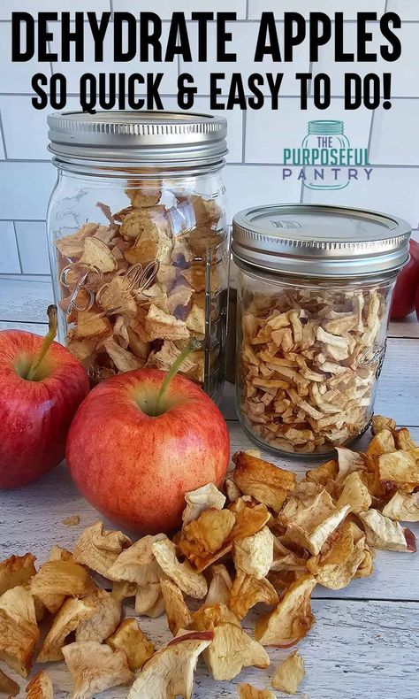 Dehydrated Camping Food, Dehydrate Apples, Dehydrating Apples, Afterschool Snacks, Matcha Drink Recipes, Dehydrating Food Storage, Dehydrated Apples, Apple Snacks, Apple Season