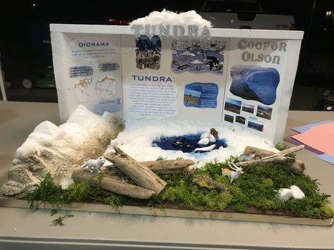 Tundra Biome Diorama - Made with Insta Snow, Styrofoam Mountains, Polymer Clay and Elmer’s Clear Glue for Ocean Mixed with Blue Food Coloring Dye. Alpine Tundra Biome Project, Tundra Diorama For Kids, Tundra Diorama Projects, Arctic Tundra Diorama, Tundra Biome Project Dioramas, Artic Tundra Biome, Tundra Biome Shoebox Project, Arctic Tundra Biome Project, Styrofoam Mountains