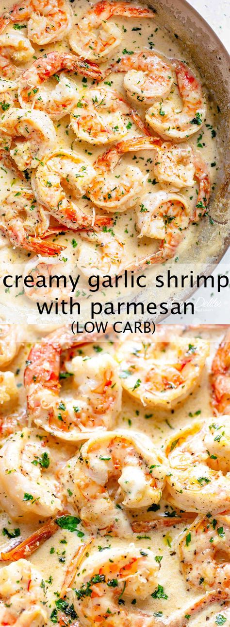 Creamy Garlic Shrimp, Low Carb Shrimp Recipes, Resep Pasta, Resep Seafood, Shrimp Recipes For Dinner, Resep Diet, Shrimp Recipes Easy, Garlic Shrimp, Low Carb Dinner Recipes