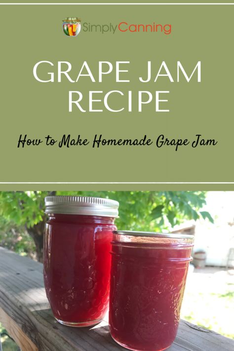 Grape Jam Recipe: #SimplyCanning shows you how to make your own grape jam at home! Control the sugar and make your family a treat they can enjoy year around. Easy-to-follow instructions included! #GrapeJamRecipe #SimplyCanning #JamAndJelly Grape Jam Recipe, Canning Gifts, Low Sugar Jam, Sugared Grapes, Grape Jam, Grape Recipes, Water Bath Canning, Grape Jelly, Jam And Jelly