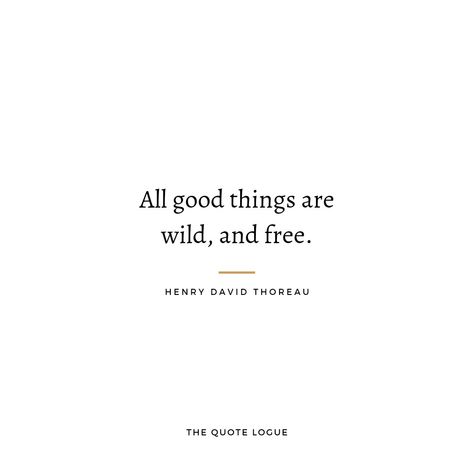 Walden Tattoo, Walden Henry David Thoreau, Henry David Thoreau Quotes Nature, Henry David Thoreau Tattoo, Henry Thoreau Quotes, Thoreau Quotes Walden, Walden Quotes, Transcendentalism Quotes, Nature Quotes Simple