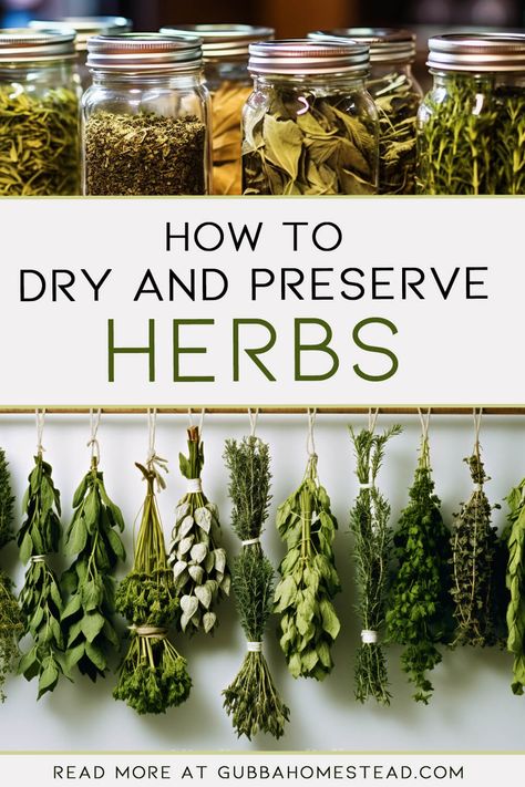 How To Dry Herbs From Your Garden, How To Make Dried Herbs, Drying Your Own Herbs, Hang Dry Herbs In Kitchen, Fresh Herbs To Dry Herbs Conversion, Home Grown Herbs, Planting Herbs From Seeds, Dry Your Own Herbs, How To Harvest And Dry Herbs