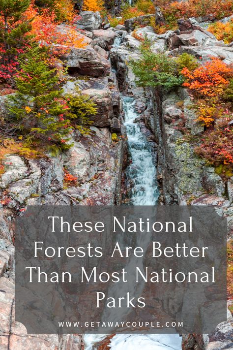 Looking for a hidden gem full of beauty, nature, and adventure? Check out these National Forests that are better than most National Parks! These National Forests Are Better Than Most National Parks Snake River Canyon, Gifford Pinchot National Forest, Horseback Riding Trails, White Mountain National Forest, Best National Parks, Pisgah National Forest, Camping Locations, Beauty Nature, Forest Service