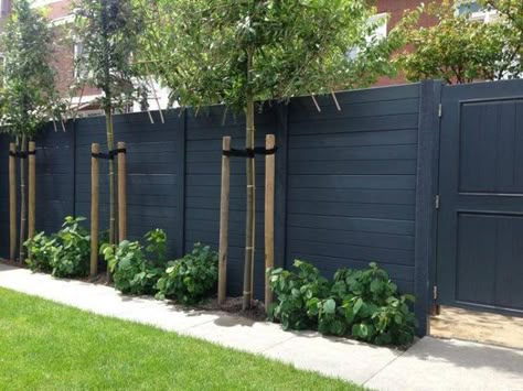 matte black fence wall Cheap Privacy Fence, Pagar Modern, Moderne Have, Black Fence, Privacy Fence Designs, Cheap Backyard, Backyard Privacy, Plants Growing, Desain Lanskap