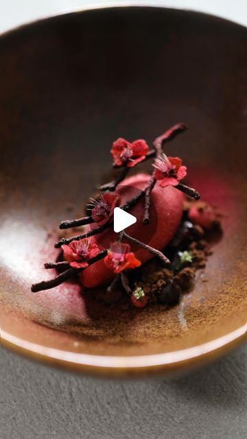 Andrea Mattasoglio on Instagram: "New Realistic Blossom Branch Tuile from @moldbrothers inspired this brand new dessert with raspberry, chocolate and beetroot in different consistencies and temperatures. Here you’ve got all the plating process, but I’ll share with you guys all the recipes for the different components. Hope you like it as much as I do! 😄 Raspberry&Beetroot sorbet, cocoa crumble, chocolate gel and Tuile, beetroot crispy flowers, raspberry powder and beetroot sweet cream.   Il nuovo Realistic Blossom Branch Tuile mold dei miei amici Moldbrothers ha ispirato questo nuovissimo dessert a base di lampone, cioccolato e barbabietola in diverse consistenze e temperature. Qui avete tutto il processo di impiattamento, ma condividerò con voi tutte le ricette per i diversi componenti. Chocolate Tuile Recipe, Tuiles Recipe, Beetroot Puree, Cooked Beetroot, Raspberry Powder, Michelin Star Food, Raspberry Desserts, Raspberry Chocolate, Blossom Branch