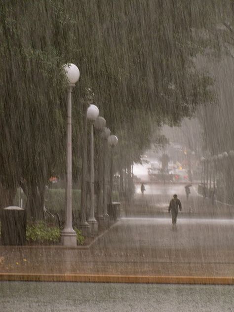 wet Rainy Day Aesthetic, I Love Rain, Going To Rain, Love Rain, Walking In The Rain, Singing In The Rain, Rainy Night, Stormy Weather, Playlist Covers