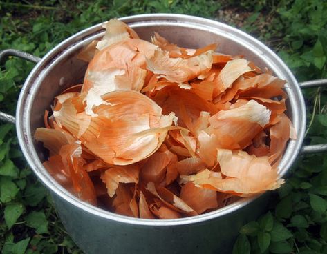 Natural Dyes - Yellow Onion Skins – Folk Fibers Onion Benefits Health, Natural Dye Fabric, Eco Dyeing, Earth Pigments, Yellow Onion, Earthy Colors, Red Onion, Natural Dyes, Onions