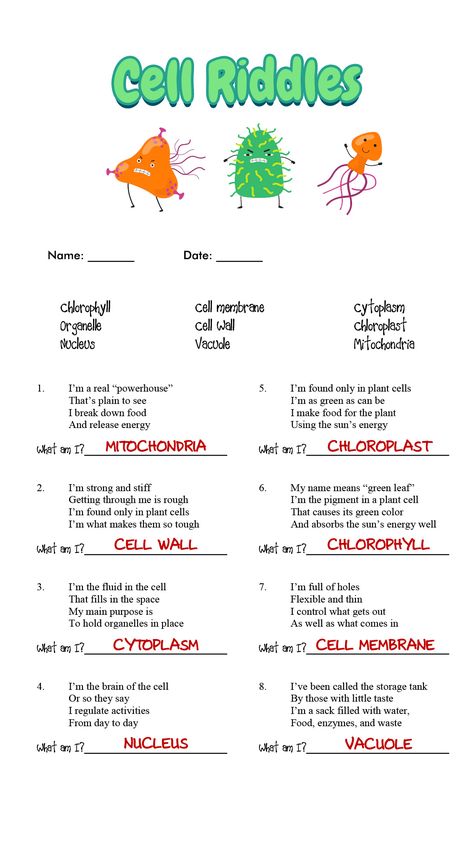 Prokaryotic and Eukaryotic Cells Worksheet Answers Cells Project Ideas, Teaching Cells Middle School, Cells Middle School Activities, Fun Biology Activities High Schools, Cell Labs For Middle School, Teaching High School Science, Biology Games High Schools, Biology Project Ideas High Schools, Cell Projects Middle School