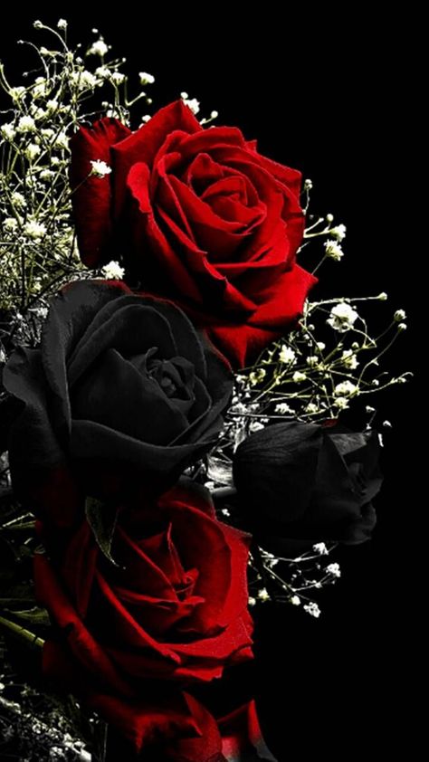 Wallpaper Iphone Roses, Black Roses Wallpaper, Blue Roses Wallpaper, Black And Red Roses, Black Rose Flower, Red And Black Wallpaper, Red Roses Wallpaper, Roses Wallpaper, Rose Flower Wallpaper