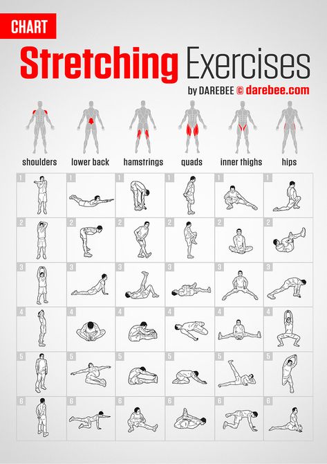 Stretching Exercises | Chart Motivație Fitness, Beginner Workouts, Gym Antrenmanları, Latihan Kardio, Latihan Yoga, Gym Workout Chart, Exercise Chart, Calisthenics Workout, Weight Training Workouts